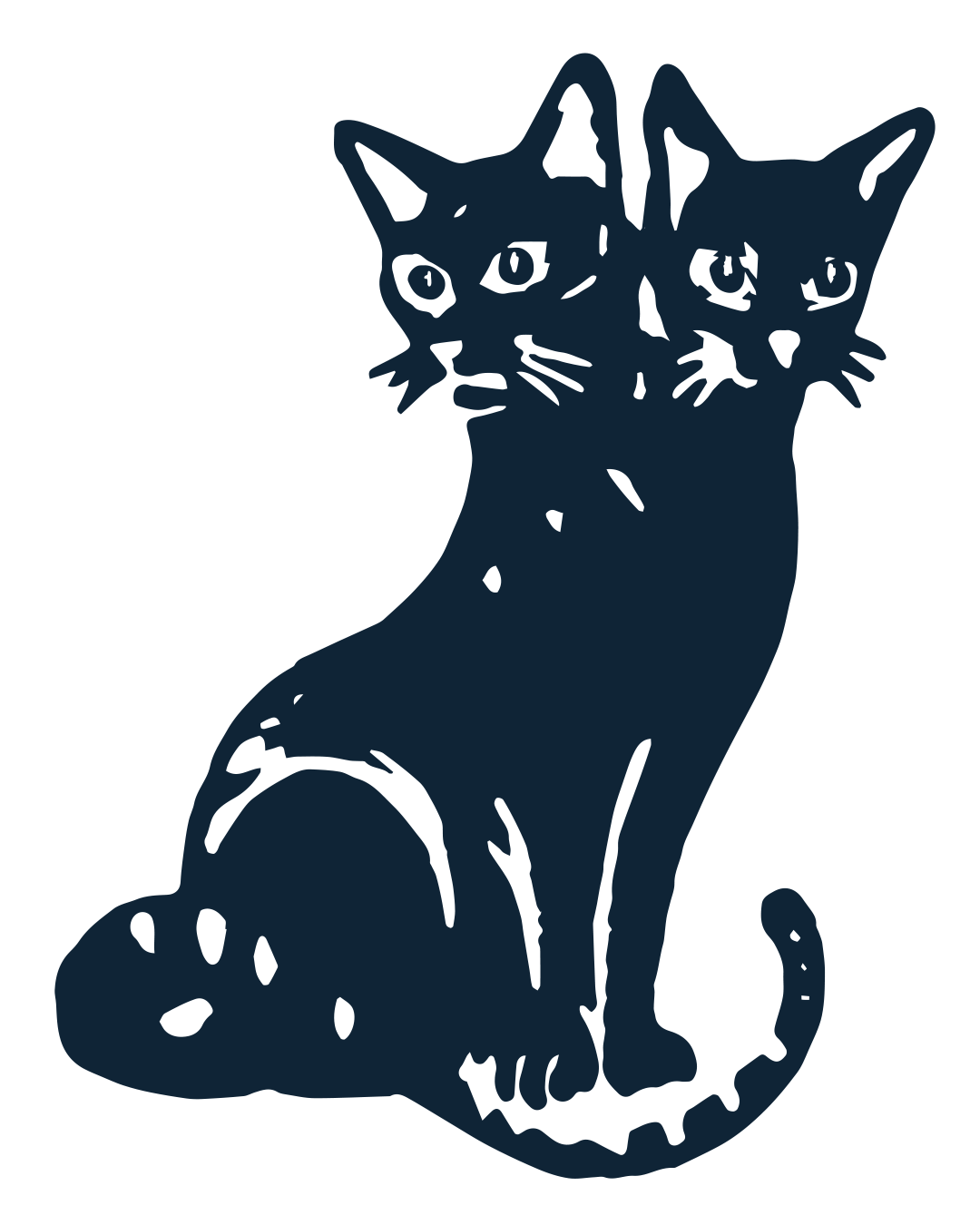 LARRY — the two-headed cat