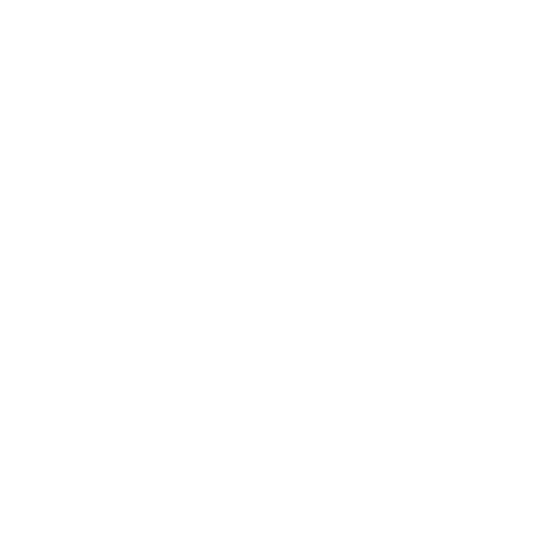 LARRY — the two-headed cat